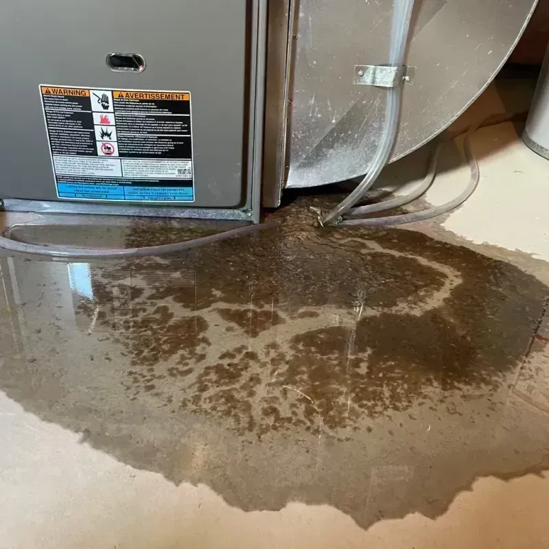 Appliance Leak Cleanup in Mayodan, NC